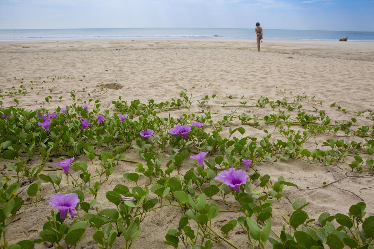 Talpona Paradise Beach House Канкон Экстерьер фото